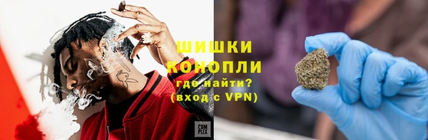 ешки Аркадак
