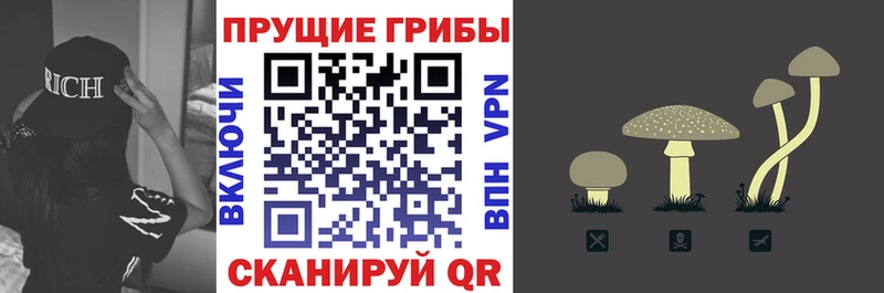 Галлюциногенные грибы Psilocybine cubensis Купить закладки Белёв